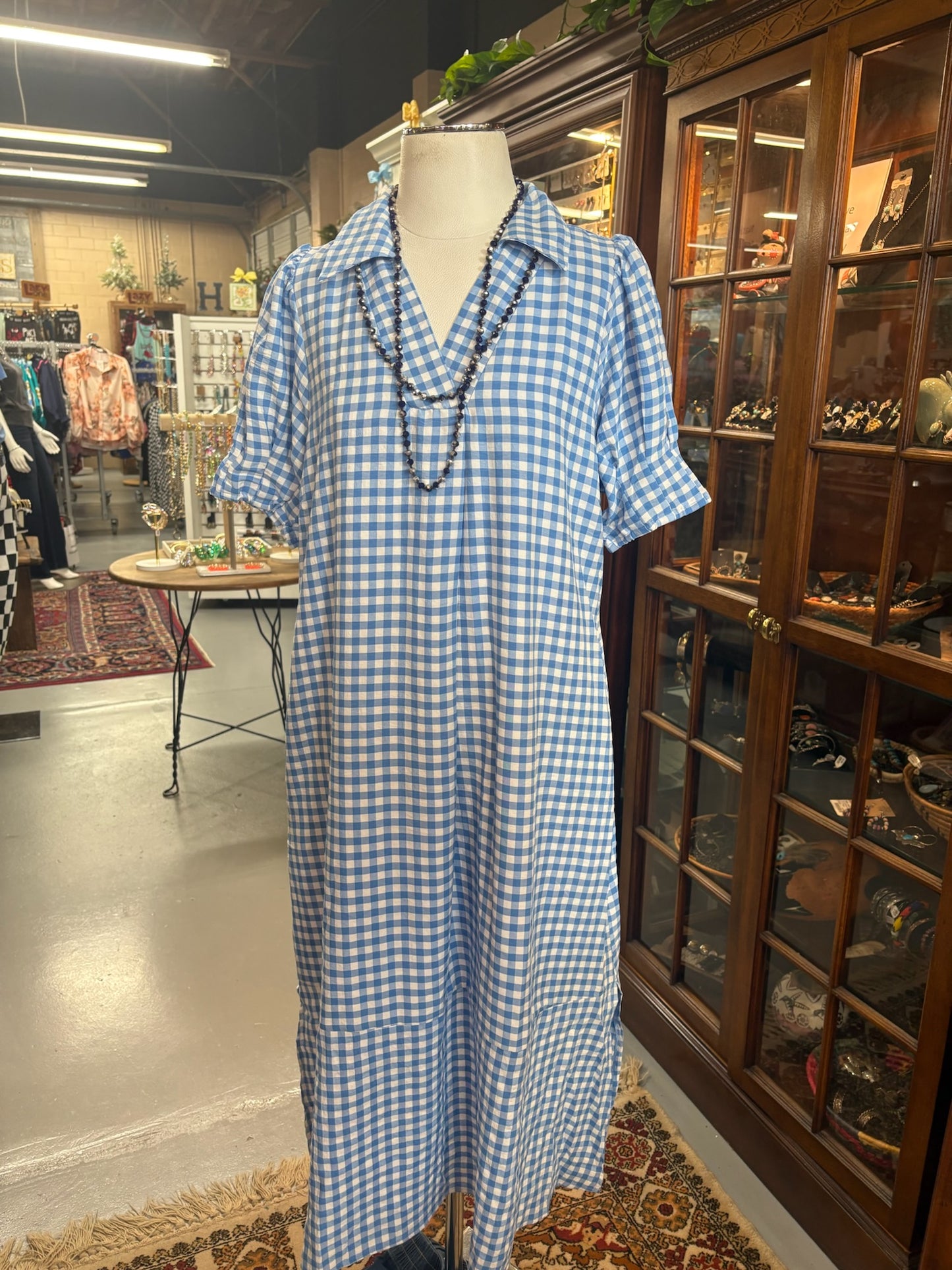 Gingham Blue Dress with Pockets