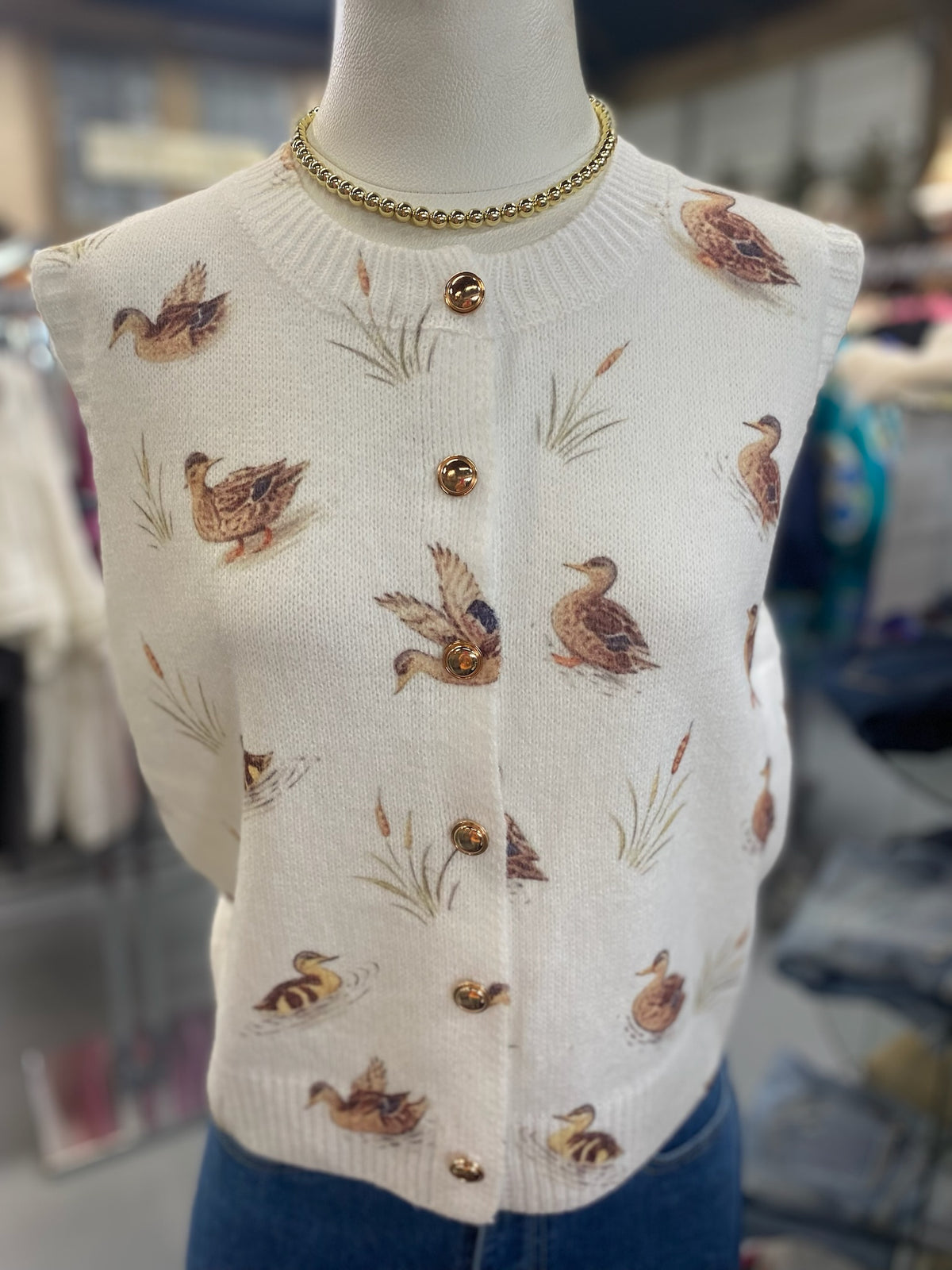 Mallard Sweater Vest in Ivory