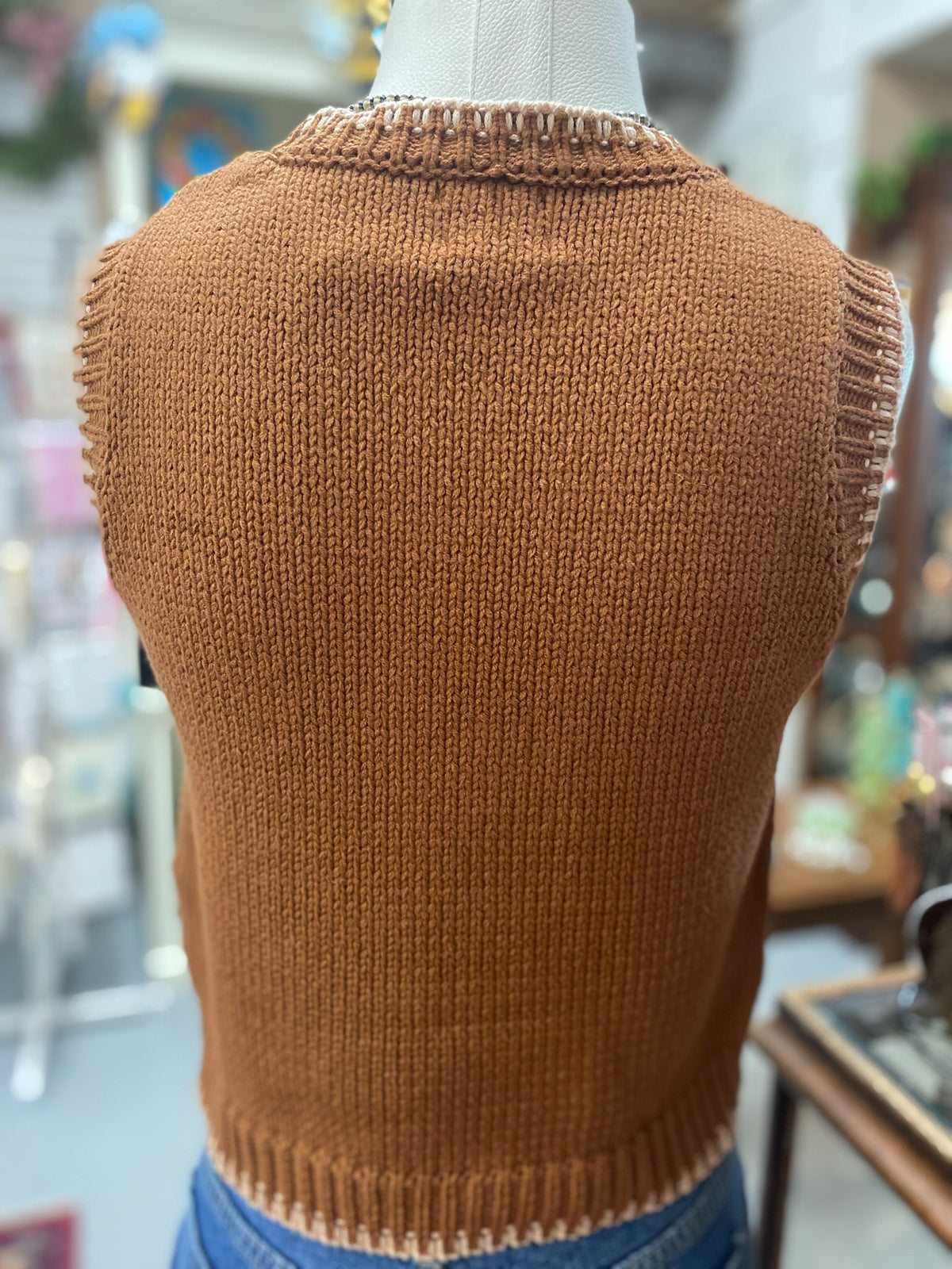 Howdy Sweater Vest in Brown